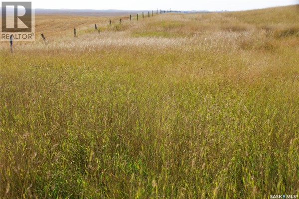 243 Deeded Acres W/ Assignable Crown Lease Rm 101, Terrell Rm No  101, SK S0H0E0 Photo 5