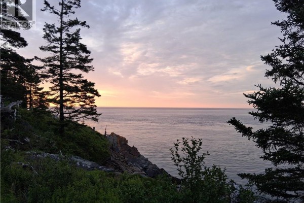 244 Fundy Drive, Campobello Island, NB E5E1X2 Photo 2