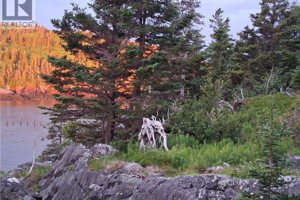 244 Fundy Drive, Campobello Island, NB E5E1X2 Photo 3