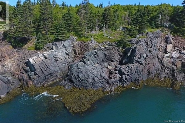 244 Fundy Drive, Campobello Island, NB E5E1X2 Photo 4