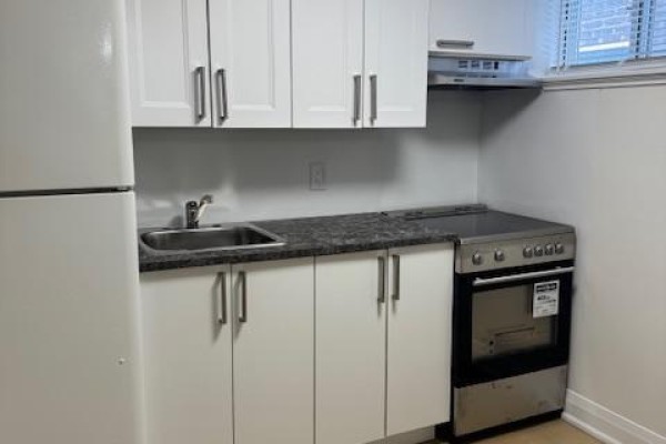 244 King Edward Avenue, Toronto, ON M4C5K1 Photo 5