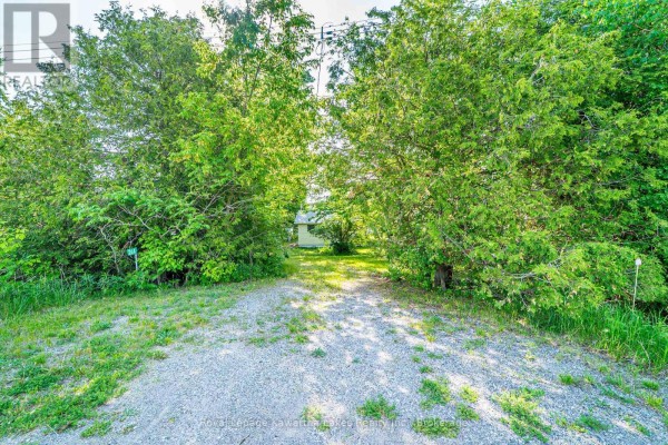 244 O'reilly Lane, Kawartha Lakes, ON K0M2C0 Photo 4
