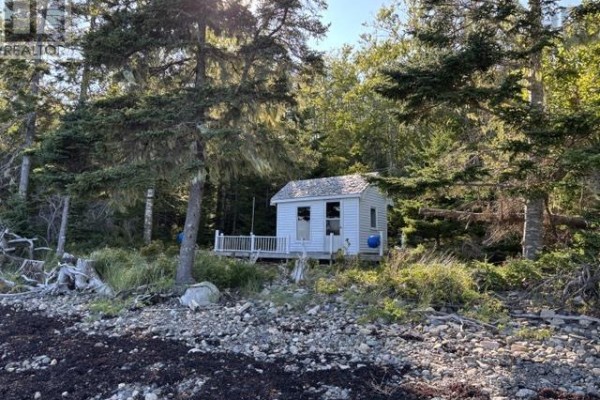 244 Zwicker Island, Indian Point, NS B0J2E0 Photo 5