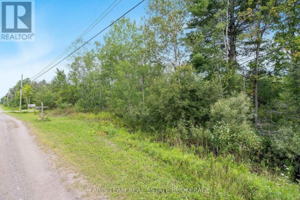 Aerial drone shot over a dense, mixed forest with some wetland areas. - 2444 Fairgrounds Road, Ramara