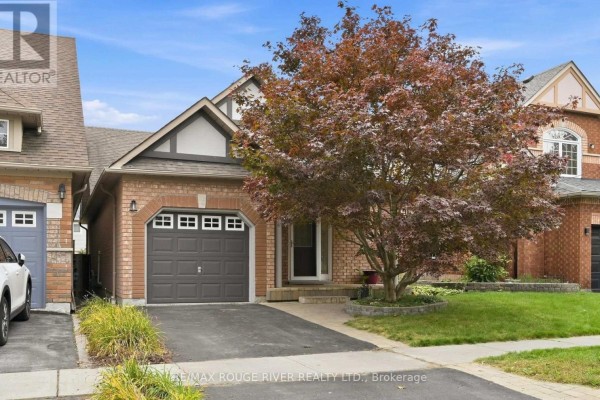 Kitchen - 245 Willowbrook Drive, Whitby, ON L1R2Z1 Photo 3