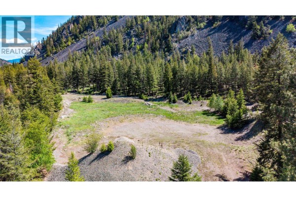 Cleared grassy area within a pine forest, with rocky hillsides and a blue sky. - 2451 Hwy 3 E, Princeton