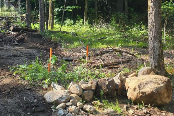 2456 Conc Dalhousie Concession, Lanark Highlands, ON K0G1K0 Photo 4