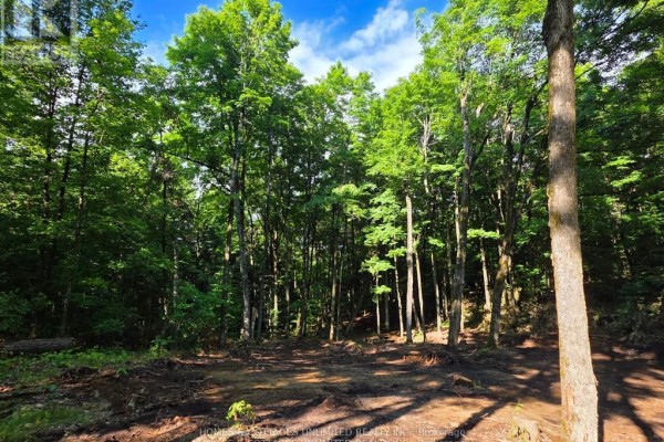 2456 Conc Dalhousie Concession, Lanark Highlands, ON K0G1K0 Photo 5