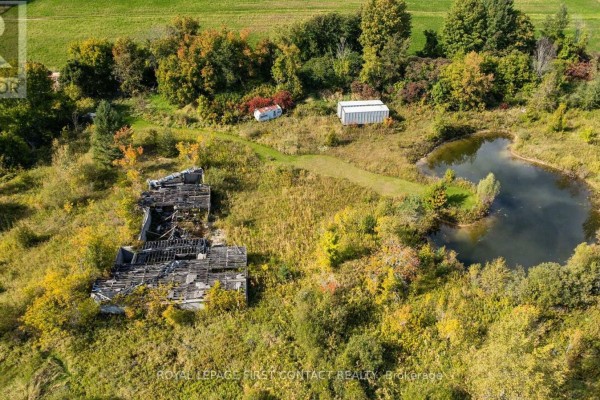 2463 Dunns Line, Oro Medonte, ON L0K1E0 Photo 4