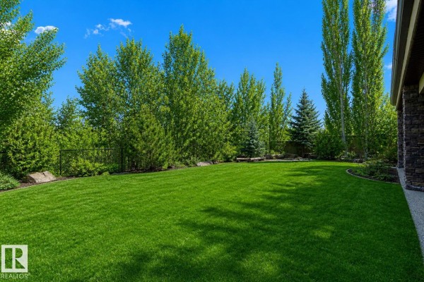 Expansive green backyard with a privacy fence, lush landscaping, and tall trees on a sunny day. - 2464 Cameron Ravine Dr Nw, Edmonton