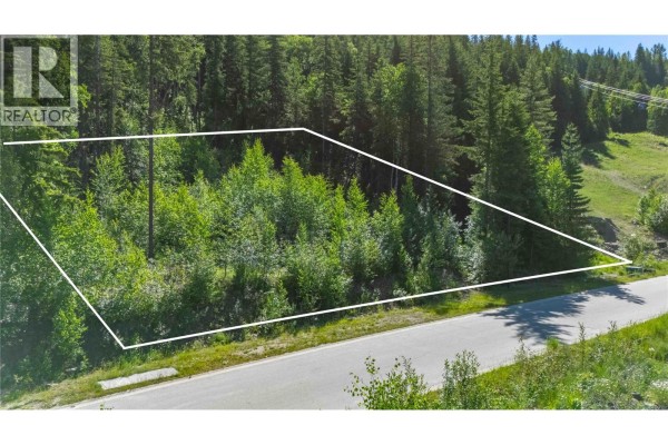 2465 Monashee Court Lot# 24, Revelstoke, BC V0E2S3 Photo 4