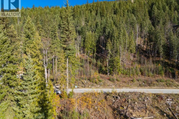 A paved road cuts through a dense forest on a steep mountain slope with scattered felled trees. - 2465 Monashee Court Unit# 22, Revelstoke