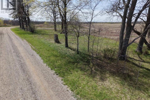24688 Carroll Line, West Elgin, ON N0L2P0 Photo 4