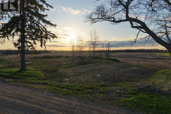 24688 Carroll Line, West Elgin, ON N0L2P0 Photo 5