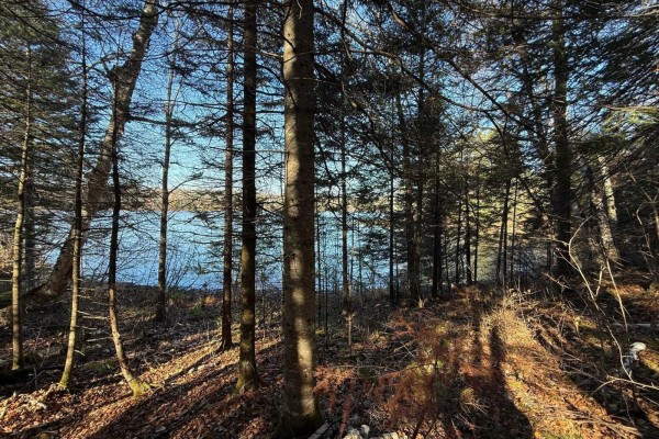 247 Ch. Du Lac-à-larche, Cayamant, QC, photo 3