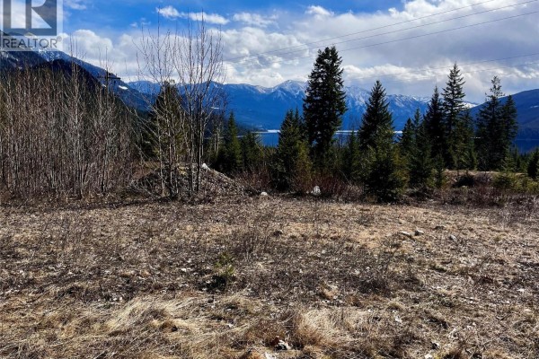 247 Fullmoon Road, Rosebery, BC, photo 2