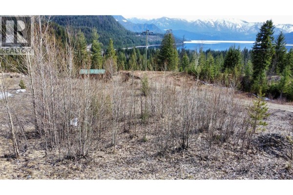 Landscape view of the property with distant mountains and a lake. - 247 Fullmoon Road, Rosebery
