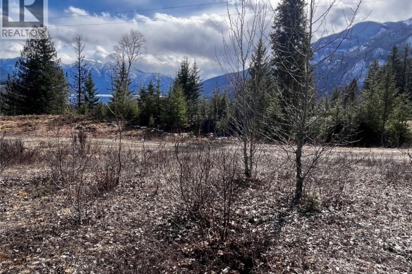 Close-up of the land with trees and rocky terrain, overlooking the lake. - 247 Fullmoon Road, Rosebery