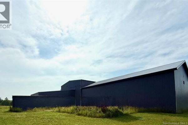 247 Rue Du Pêcheur Nord, Lameque, NB E8T1K8 Photo 5