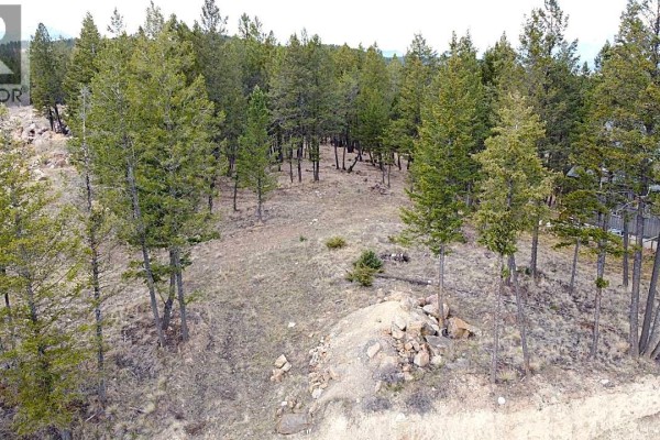 2476 Castlestone Drive, Invermere, BC, photo 3