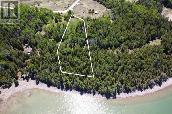 A rocky shoreline borders a calm bay lined with dense evergreen trees. - 248 Whitetail Dr, Barrie Island