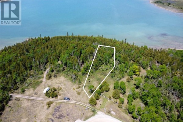 Aerial view of a wooded shoreline with a white oval marking a section of the land. - 248 Whitetail Dr, Barrie Island
