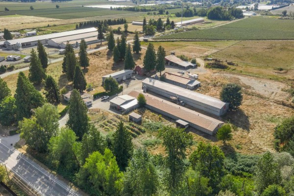 2481 Lefeuvre Road, Abbotsford, BC V4X1E3 Photo 3