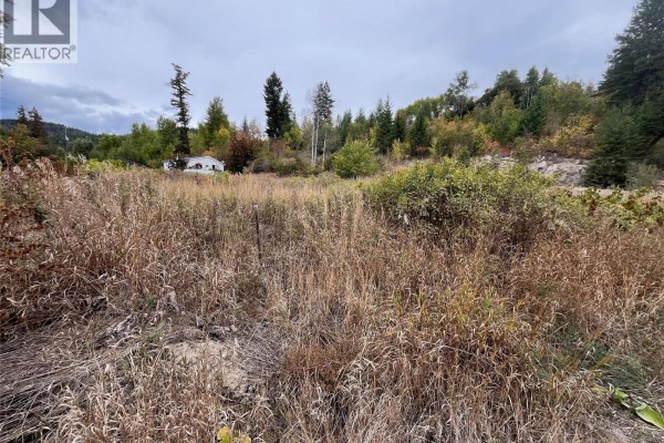 2481 Squilax Anglemont Road Lot# 48, Lee Creek, BC, photo 2