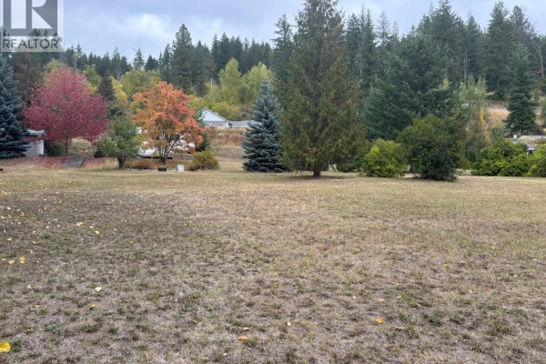 Spacious lot with trees and mountain backdrop, grassy area - 2481 Squilax-anglemont Road Lot# 11, Lee Creek