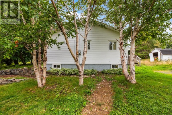 Recreation room - 249 East Highway, Victoria, NL A0A4G0 Photo 3