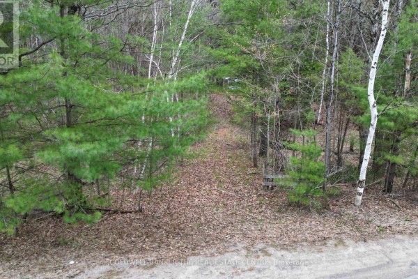 2493 Housey's Rapids Road, Kawartha Lakes, ON L0K2B0 Photo 5