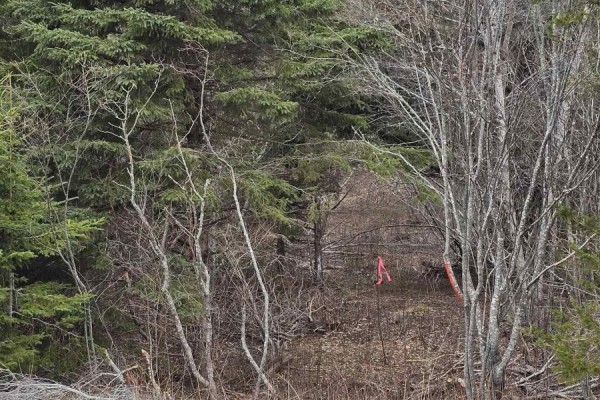 25-1 Middle River Road, Rocklin, NS B0K2A0 Photo 3