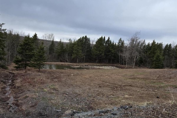 25-1 Middle River Road, Rocklin, NS B0K2A0 Photo 4