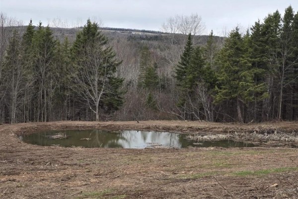 25-1 Middle River Road, Rocklin, NS B0K2A0 Photo 5