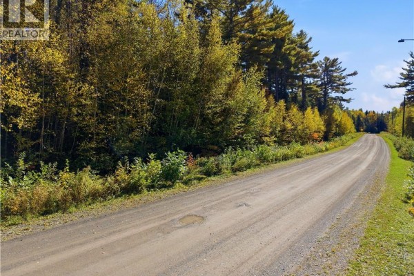 Gravel road curves through a forest of green and yellow autumn trees under a blue sky. - 25-2 Drummond Road, Gagetown