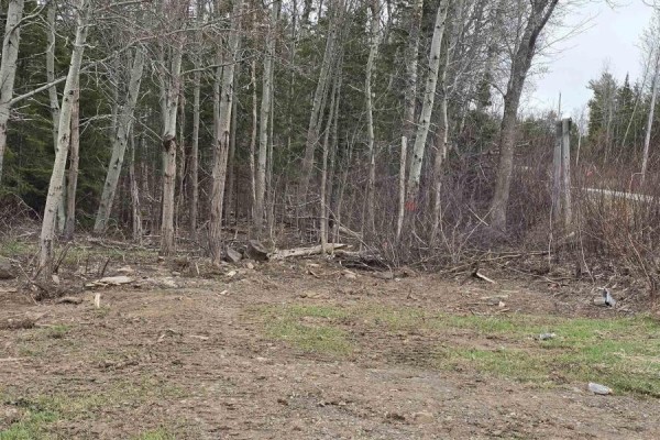 25-2 Middle River Road, Rocklin, NS B0K2A0 Photo 4