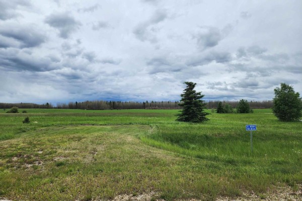 25 465011 Rge Rd 64, Rural Wetaskiwin County, AB T0C0T0 Photo 3