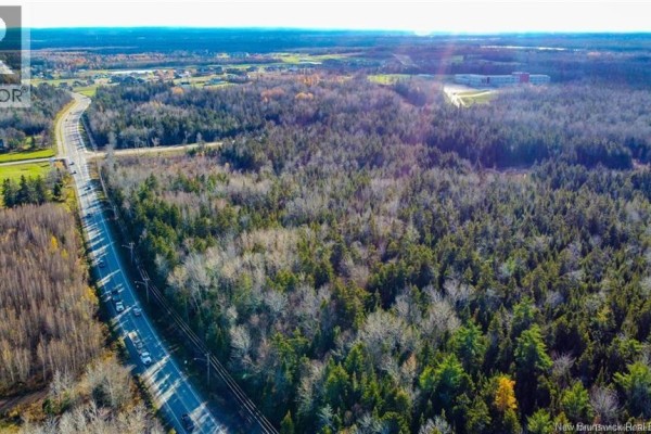 Aerial view of a highway bordering a dense forest with some autumn foliage and distant buildings. - 25-51 Via Roma, Irishtown