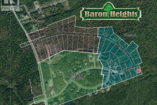 Aerial map showing divided phases of a development named Baron Heights with roads and lots. - 25-51 Via Roma, Irishtown