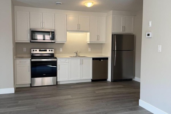 Kitchen area with white cabinetry, stainless steel appliances, and a dark countertop. - 25 Alexandria Avenue, St  Thomas
