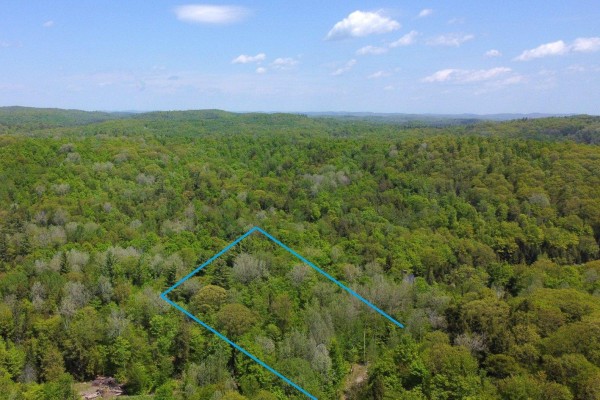 Drone view of a wooded lot outlined in blue, featuring a dense forest canopy and rolling hills under a cloudy sky. - 25 Ch. Du Mica, Val Des Monts