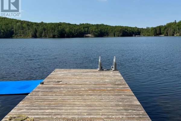 Close-up view of a wooden dock with metal ladder and a blue floating mat on a wide lake. - 25 Fire Route 330 Route, Trent Lakes
