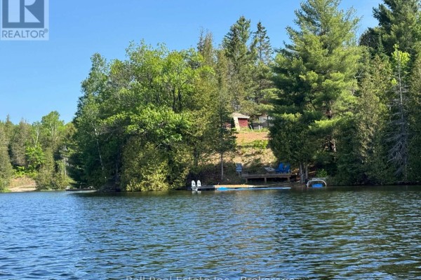 Wooden dock with chairs and blue floating mat on a lake with a wooded background and distant buildings. - 25 Fire Route 330 Route, Trent Lakes
