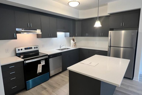 25 Isherwood Avenue, Cambridge, ON N1R0E2 Photo 3