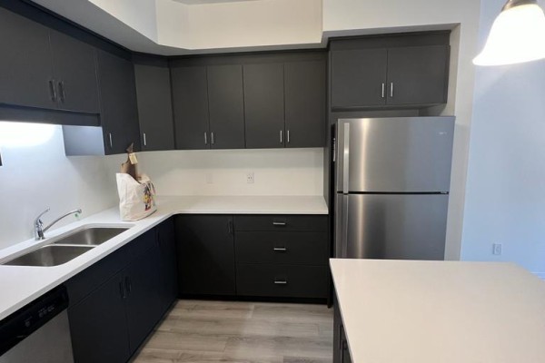 25 Isherwood Avenue, Cambridge, ON N1R0E2 Photo 5