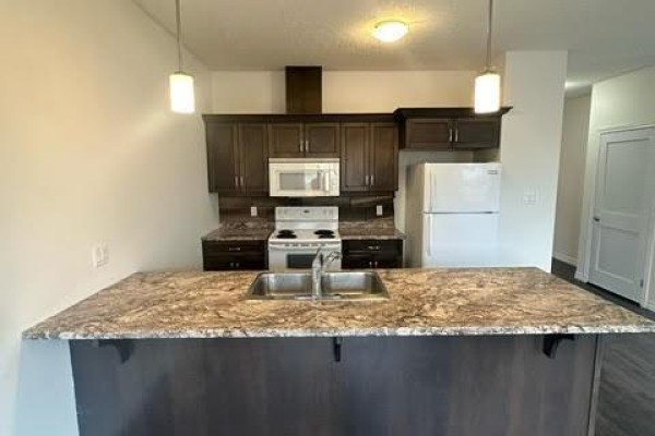 Primary Bedroom - 25 Kendell Lane Unit# Upper, Ingersoll, ON N5C3J1 Photo 4