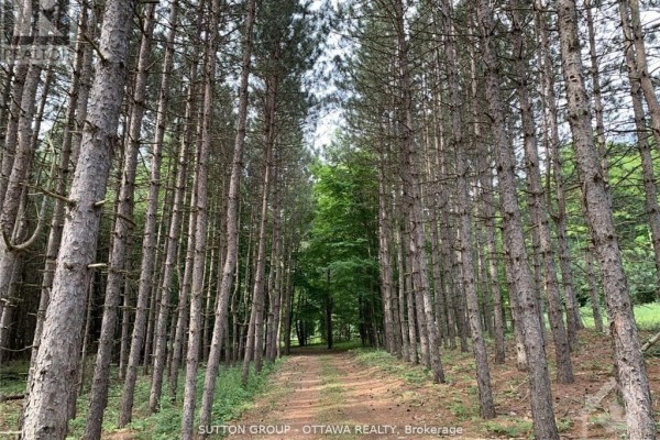 25 Lumber Jack Trail, Drummond/north Elmsley, ON K7H3C7 Photo 5