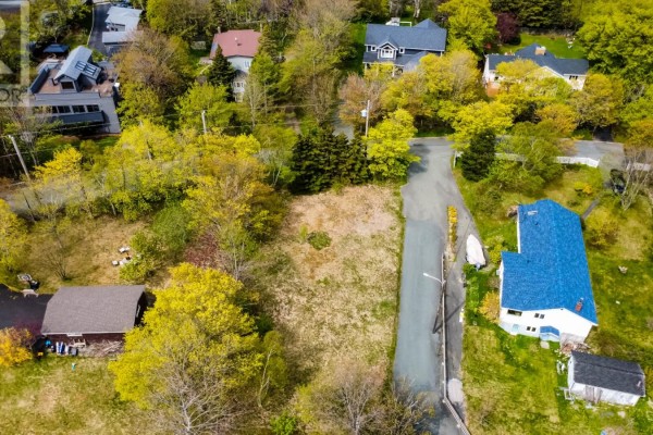 25 Parmiter's Lane, Conception Bay South, NL A1W5P8 Photo 4