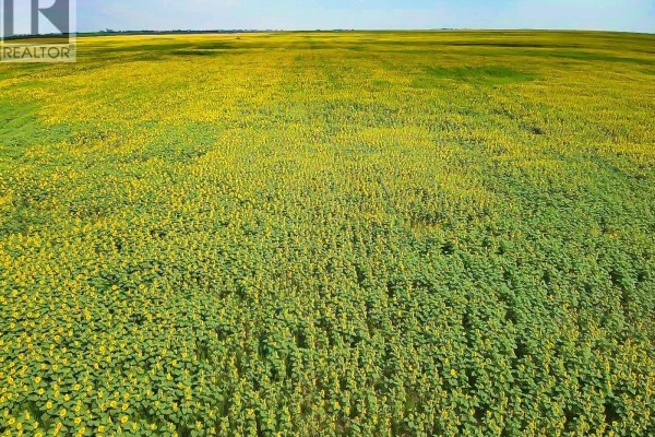 25 Quarter Sections - Rm Souris Valley, Souris Valley Rm No  7, SK S0C0E6 Photo 2