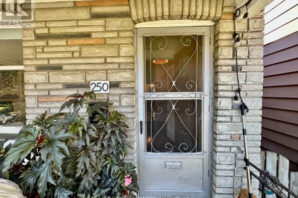Close-up of the front door of the house with a stone facade and plants. - 250 Rushton Road, Toronto